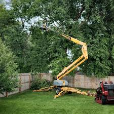 Best Lawn Watering Services  in Union City, NJ