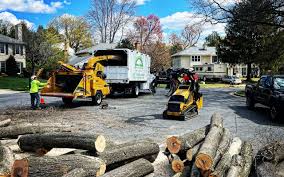 Best Artificial Turf Installation  in Union City, NJ
