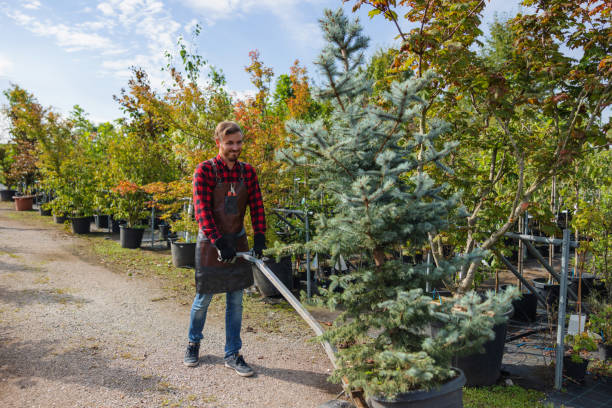 Best Emergency Tree Removal  in Union City, NJ