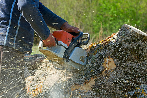 Lawn Irrigation Installation and Maintenance in Union City, NJ